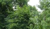 Trail On foot Sprimont - Sprimont Promenade n°5 - Photo 9