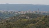 Tour Wandern Valliguières - valliguieres - Photo 8