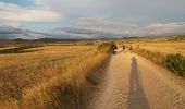 Tocht Stappen Los Arcos - Viana - Photo 5