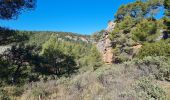 Excursión Senderismo Le Tholonet - bagage de zola - Photo 14