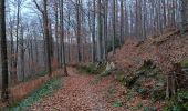 Trail Walking Aywaille - promenade aywaille 
