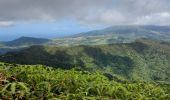 Tour Wandern Le Lorrain - Morne Jacob au Panneau ONF - Photo 3