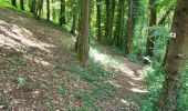 Tocht Stappen Durbuy - Bomal sur Ourthe 170625 - Photo 7