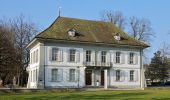 Tour Zu Fuß Safenwil - Altes Schützenhaus - Rottannen - Photo 8