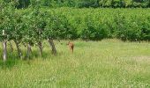 Trail Walking Azay-le-Rideau - Azay-le-Rideau - l'Islette - 17km 220m 4h05 (20mn) - 2021 06 12 - Photo 2