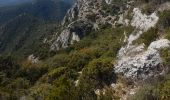 Tocht Stappen Bonnieux - Fôret des Cèdres - Photo 2