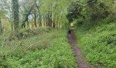 Trail Walking Les Monceaux - les Monceaux  - Photo 2