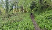 Tocht Stappen Les Monceaux - les Monceaux  - Photo 2