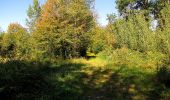 Trail Walking Dampleux - en forêt de Retz_80_sur la Route Tortue et la Route Droite - Photo 5