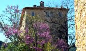 Tour Wandern Entrecasteaux - 2023-03-03 16-16-56 - Photo 10