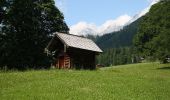 Percorso A piedi Ramsau am Dachstein - Fünf-Hütten-Weg 