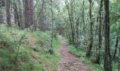 Tocht Te voet Unknown - Edzell to Rocks of Solitude - Photo 9