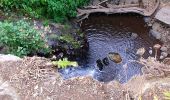 Randonnée A pied Telde - Barranco de los Cernícalos - Photo 1