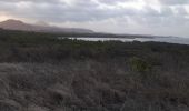 Tour Wandern Le Marin - cap macré par les mornes - Photo 17