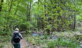 Tour Wandern Saint-Hubert - Awenne - Photo 4