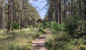 Tocht Stappen Hechtel-Eksel - Promenade vers la piste dans les arbres  - Photo 8