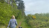 Trail Walking Rochefort - Rochefort - Photo 3