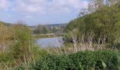 Trail Walking Thuin - Abbaye d aulne. dép église (boucle ds bois) - Photo 2