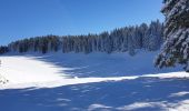 Percorso Racchette da neve Les Rousses - Noirmont et mont Sala Suisse - Photo 7