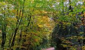 Randonnée Marche Jalhay - Promenade du Grand Lys  - Photo 1