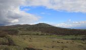 Excursión A pie Bortigale/Bortigali - Anello Bortigali - Monte Santu Padre - Photo 5