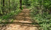 Tour Wandern Collonges-la-Rouge - colonge - Photo 9