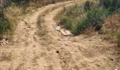 Tour Quad Collioure - Collioure - Villeneuve-de-la-Raho  - Photo 4