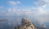 Trail Walking Istres - Le Ranquet-Istres 30.11.24 - Photo 4