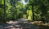 Trail Walking Coye-la-Forêt - Boucle autour des étangs de Commelles - Photo 3