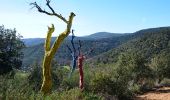 Randonnée Marche La Garde-Freinet - La Garde Freinet - ND de Miremer - Photo 5