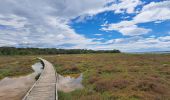 Tocht Stappen Vic-la-Gardiole - Circuit des salines  - Photo 8