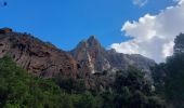 Trail Walking Quenza - rando Corse dans Bavella - Photo 6