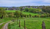 Trail Walking Doische - Balade de Doische à Foisches - Photo 16