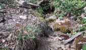 Trail Walking Barbirey-sur-Ouche - boucle Jaugey - Photo 2