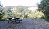 Trail Walking Ponet-et-Saint-Auban - Ponet-et-St-Auban - Montagne de Desse - Marignac - Photo 5