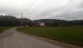 Tour Zu Fuß Buchen (Odenwald) - Rundwanderweg Bödigheim 1: Glasenberg-Weg - Photo 8