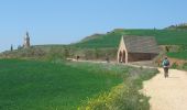 Trail Walking Estella-Lizarra - Camino Francés - Etp6 - Estella - Los Arcos - Photo 2