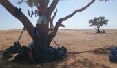 Tour Wandern M'Hamid El Ghizlane ⵎⵃⴰⵎⵉⴷ ⵍⵖⵯⵣⵍⴰⵏ امحاميد الغزلان - Campement 1 au Campement 2 - Photo 12