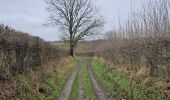 Tour Wandern Eijsden-Margraten - Mheer - Sint-Geertruid  - Photo 10