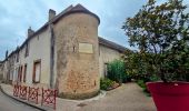 Tour Wandern Joigny - Joigny - Villeneuve sur Yonne et 2/3  - 35 km IBP 97 - Photo 19