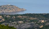 Trail Walking Calvi - Calvi - Capu di a Veta - Croix des autrichiens - Photo 16