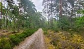 Randonnée Marche Le Vaudoué - Boucle autour de Le Vaudoue - Photo 4