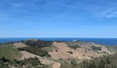 Excursión Senderismo Collioure - autour de Collioure a travers les vignes - Photo 13