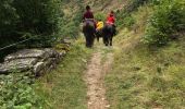 Trail Walking Loudervielle - Estives depuis Col de Peyressourdes - Photo 8