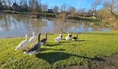 Tour Wandern Soumagne - Domaine de Wégimont  - Photo 11