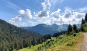 Randonnée Marche Châtel - Boucle Pré  la Joux - Col de Bachassaux - Photo 3