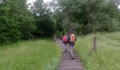 Trail Walking Oud-Heverlee - Doode bemde - Photo 4