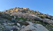 Trail Walking Ramatuelle - l'Escalet Cap Taillat - Photo 16