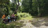 Tocht Stappen Petit-Bourg - boucle tambour riviere au canard - Photo 17