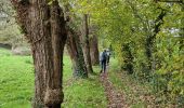 Randonnée Marche Braine-le-Château - #241108 - Braine-le-Château, Moulin Banal, Derrière les Monts, Les Meurisses, GRP 127**** - Photo 11